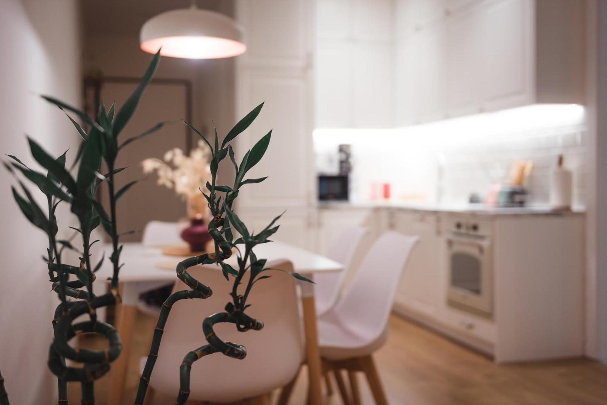 Appartamento Tam Centre Luxury Serviced Tirana